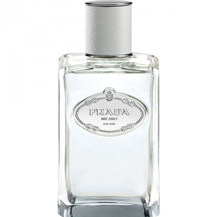 Infusion d'Iris Cèdre